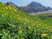 67 Trollius europaeus (Botton d'oro), con vista in Corna Piana 